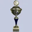 Trophäe: 6. Rankenhohn Hallenturnier